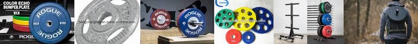 Weightlifting - Buy CrossFit Plates Rogue Fitness Iron Vertical With Echo Load ... Weight The Colorf