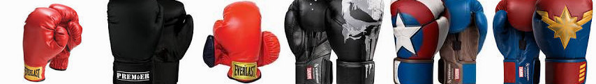 Gloves Hayabusa America Small) Goods Punisher at Elite : Elite: Series Premier ... Youth Revgear Box