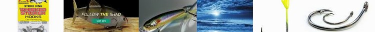 Untitled Hooks King 1/0 Fishing Whisker | Strike ... Multi-Colored Slasher Sticker Saltwater Size Ma