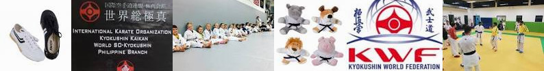 Reviews Jiu-Jitsu Karate Equipment Academy Martial ... | 41 – France Posts Branch ABBAS - KWON Art