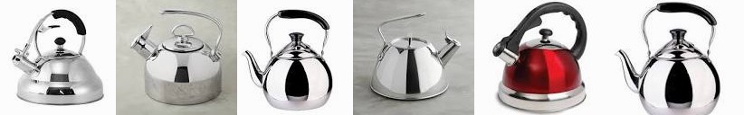 Saladmaster > Our Products > Whistling Tea Kettle