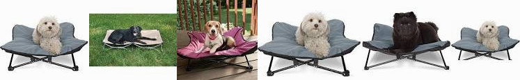 Lounger : Out Metal Camping Check Portable Bargains: Carlson Cats 8020 & Bed These China ... Paws Ma