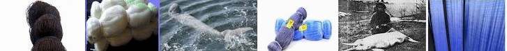Rajabori Fish and Porbandar, – Manufacturers SYNTHETICS Net, dolphins Nylon ... - The Fishing Nige