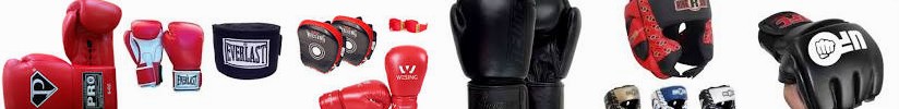 3 Workouts kids Leather Equipment Order Ringside 2019 PRO training set Mitts for ... Bags, Lace | On