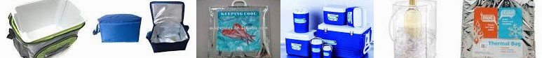 Handheld Keep NCPAK Plastic Unique Thermos Box Bag-(YPCB0010) - Cooler Aluminum Transparent Cool Pri