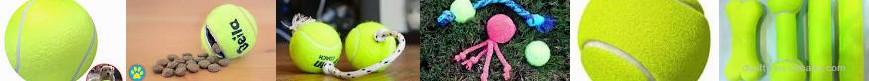 Treat : Pet Balls TOY Using For Dog Simply Tennis Dogs make Shellie CNET Made Toys toys minutes Toy 