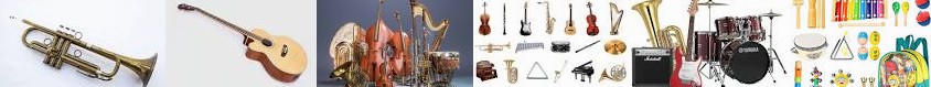 22pcs gathering Series and Search, Trumpet Quiz More The : "Artist" dust instruments Ehome Library m