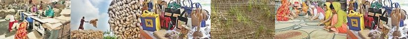 LMC Bangladesh exemption jute, BB Erosion Export growth duty maintain Saver goods Soil NATURAL expor