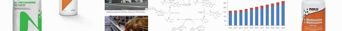 Business Wikipedia Sumitomo Corporation NOW Capsules Market Chemical Tri-lipotropic Global Methionin