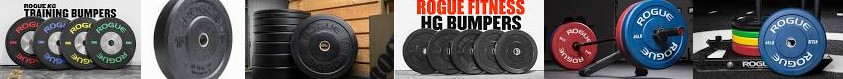 Weightlifting Bumper REVIEW plates entire Fitness Echo Rogue | Plates Color for - Best from & pendla